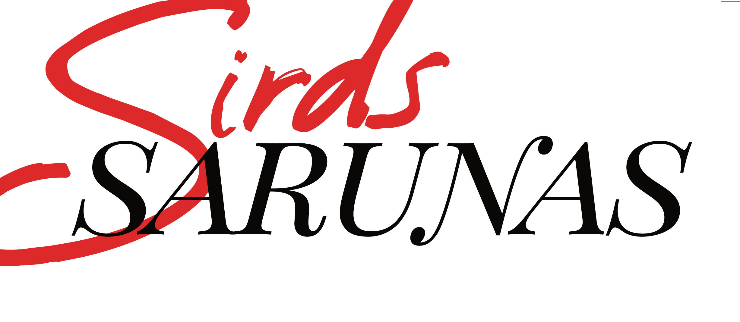 Sirds sarunas
